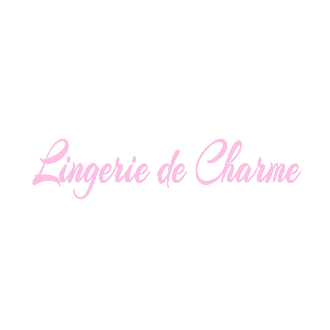 LINGERIE DE CHARME SAINT-SULPICE-LE-DUNOIS
